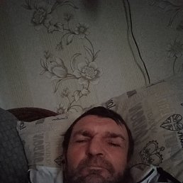 , 46, 