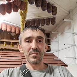 ���� �������, ���������, 43 ���� - ��������� 14 ��� 2025