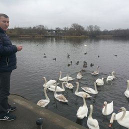 ���������, 58 ���, �����-���������