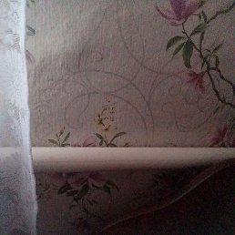 ������� ������, ������, 20 ���