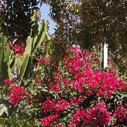 �������, 47 ���, ������