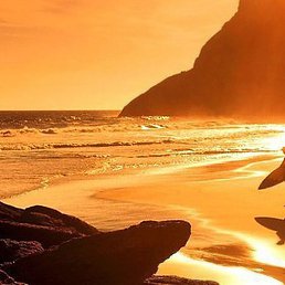 ���������, ������ ��������, 43 ����