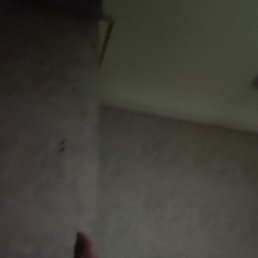 ����, �����-���������, 38 ���