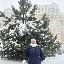 �������, ����, 50 ���