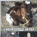 ���� �!!!, ������� - ��������� 1 ������� 2024 � ������ ������ ��������