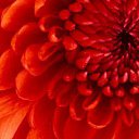 ���� �����, �����������, 30 ��� - ��������� 12 ������ 2026 � ������ �������� ������ � ���������� ��� ���������� Minitest�