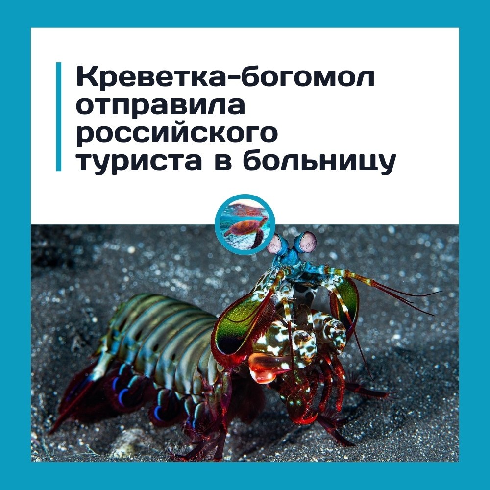 ������ � ���� ���������� ������ �������� �������.� �������� 28������ ������ �� ������������� ...