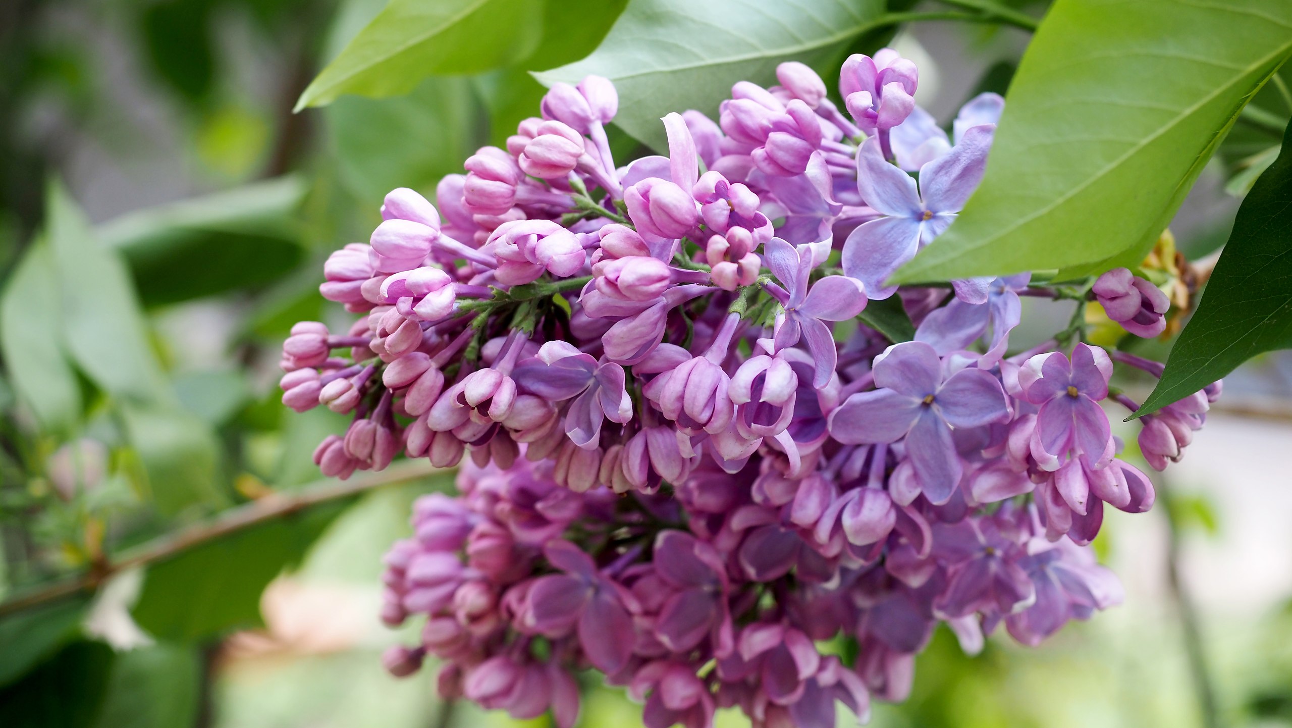  ,    .    ,  .  ... - 9