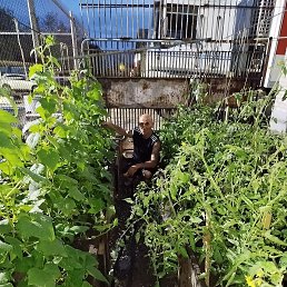 ����, 45 ���, �����������