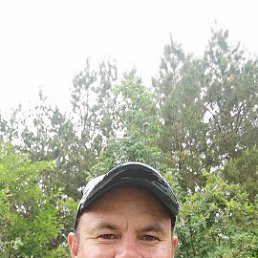 , 43, 