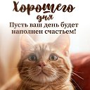   ))  !!!, , 70  -  6  2025    