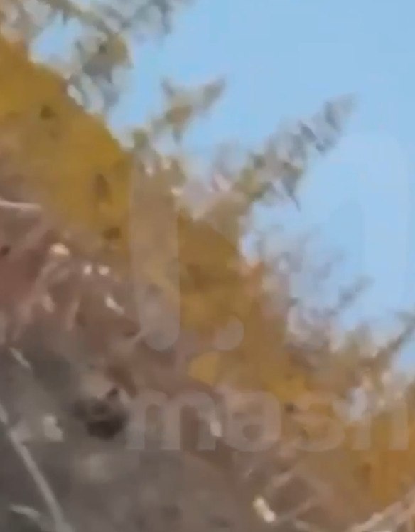 Mee-pyoe ac a pae  o pacoa ec o  ce oca ycox a peco ... - 2