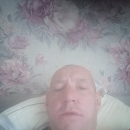 �������, ������, 41 ���