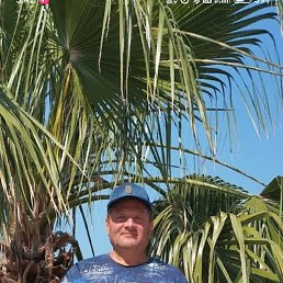 ���������, 53 ����, ����