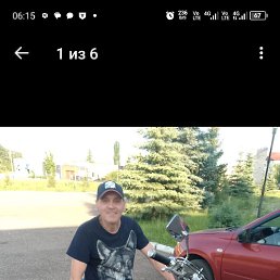 , 44, 