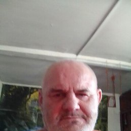 , 55 , 