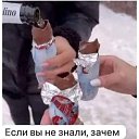 ���� �����, ������, 31 ��� - ��������� 3 ������� 2026 � ������ ������ ��������