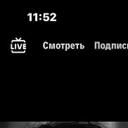 �����, 24 ����, ��������������
