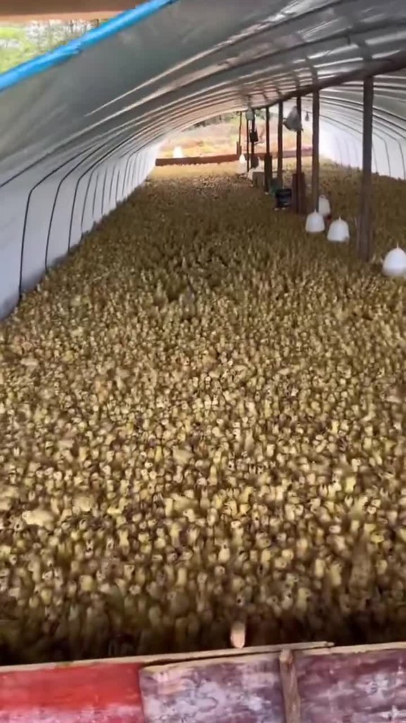 �c��a� �ep�a! �o���o �oc�o�p��e �a ��o c��a�e��ee �o���ec��o ��c��!! ����� �������