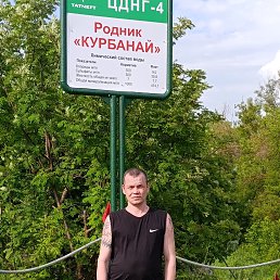 ����, 41 ���, ������