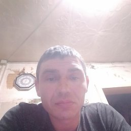 �������, ����, 40 ���