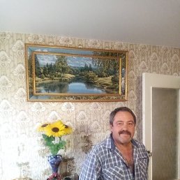 , 49, 