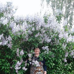 Ирина, 59, Курск