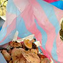   59, , 59  -  5  2025