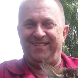Vladimir, �������