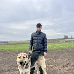 , 25, 