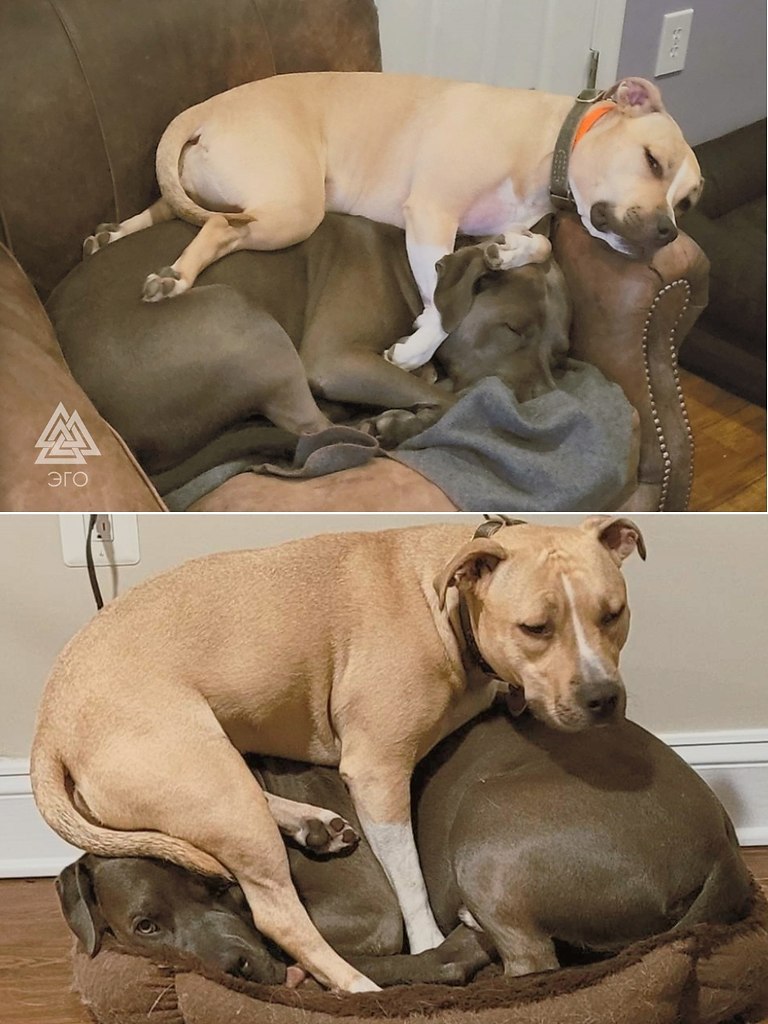 ����� �� �������, � �������� ��������.��������� ������! - 2