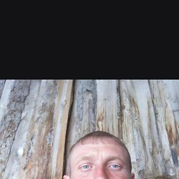 ��������, 41 ���, �����