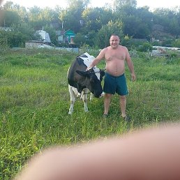 ����, ������, 36 ���