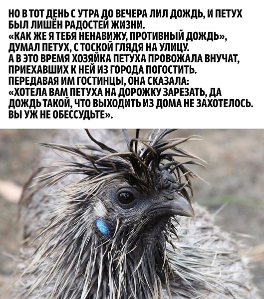 Иногда мы даже не понимаем, как нам повезло... - 2