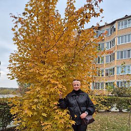 �������, ���������, 62 ����