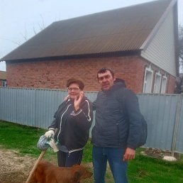 ������, �������, 41 ���