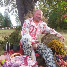 �������, 46 ���, ������