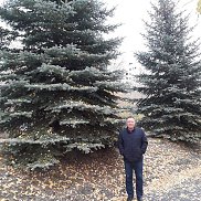 ������, 55 ���, ������