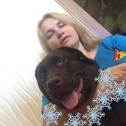 ����, , ������