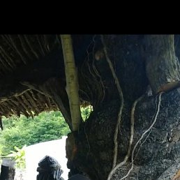 ����, ������, 35 ���