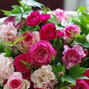 ��������� �������, �������, ������� ���������� x5:
18:00-19:00
20:00-21:00
22:00-23:00 �� ������� �������