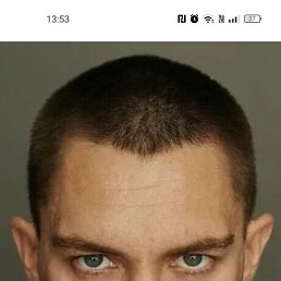 �����, 41 ���, �����