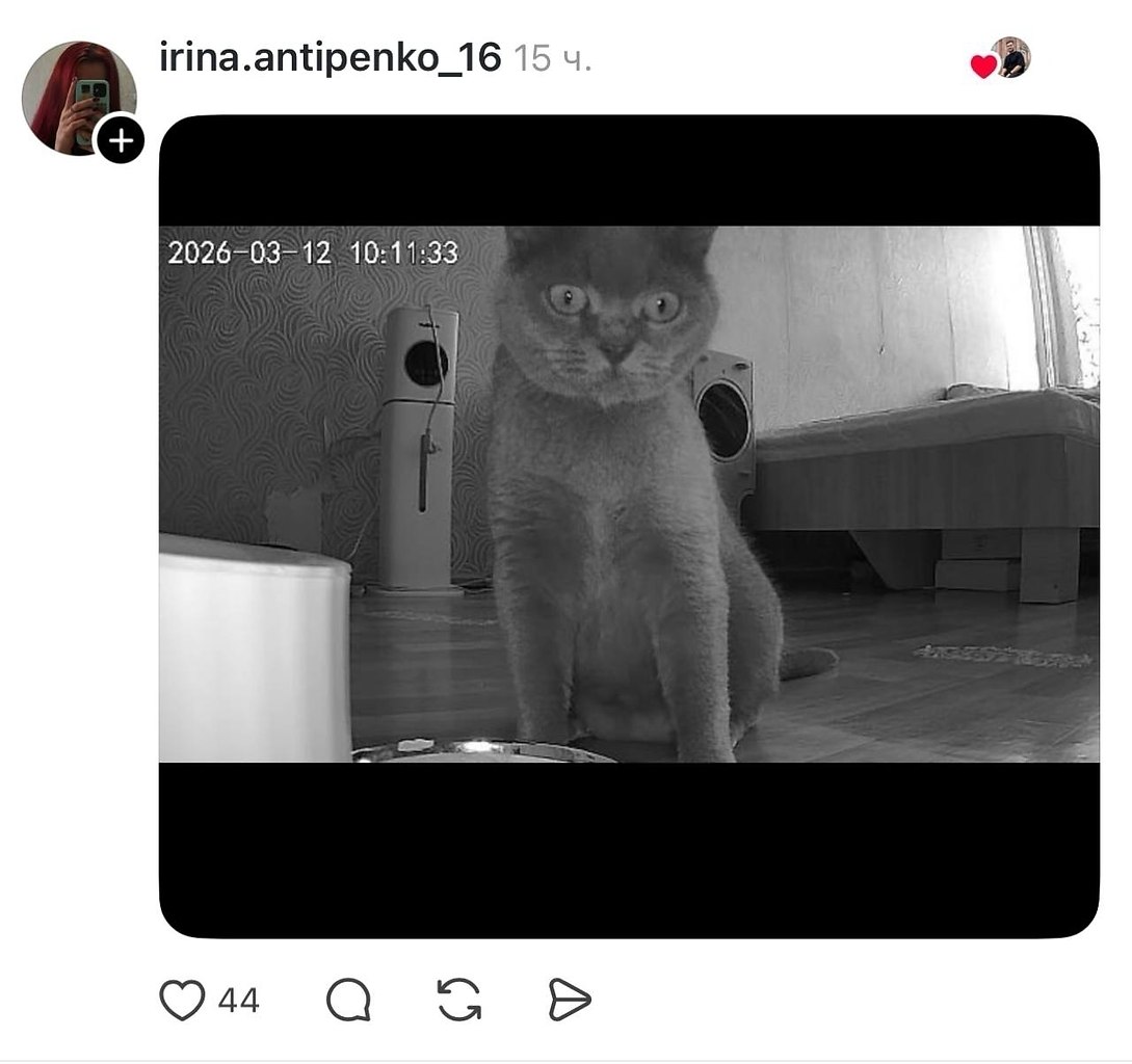 JPG - 16 ����� 2026 � 13:44