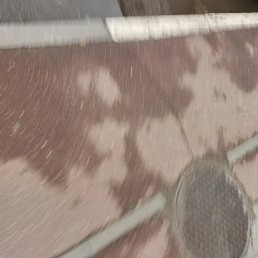 ���� ������, �������, 55 ��� - ��������� 29 ������ 2025