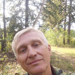 , 61 , 