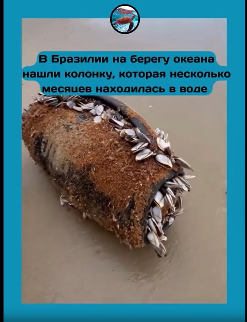 JBL �epe���a o�ea�: �o�o��a �p� �ec��a �e�a�a � co��o� �o�e � �������ac�.a �o�epe��e o�ea�a � ... - 2