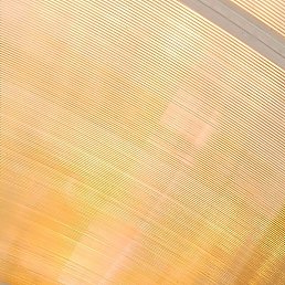 , , 54 