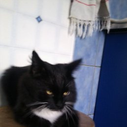 �������, ������