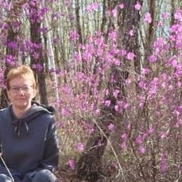 ��������, �����������, 37 ���