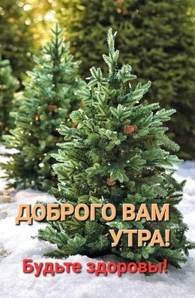   ,    . - 2  2025  00:53 - 7